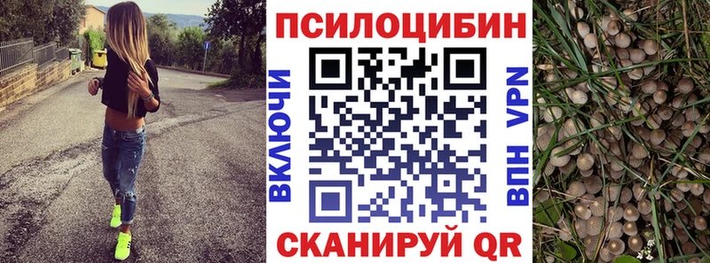 Псилоцибиновые грибы GOLDEN TEACHER где можно купить Невинномысск